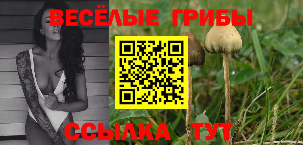купить   Вход с VPN  Кувандык  Галлюциногенные грибы Cubensis 